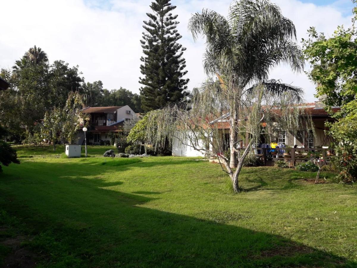 Kibbutz Hatzor A Room Close To Ashdod Hatzor Ashdod Dış mekan fotoğraf