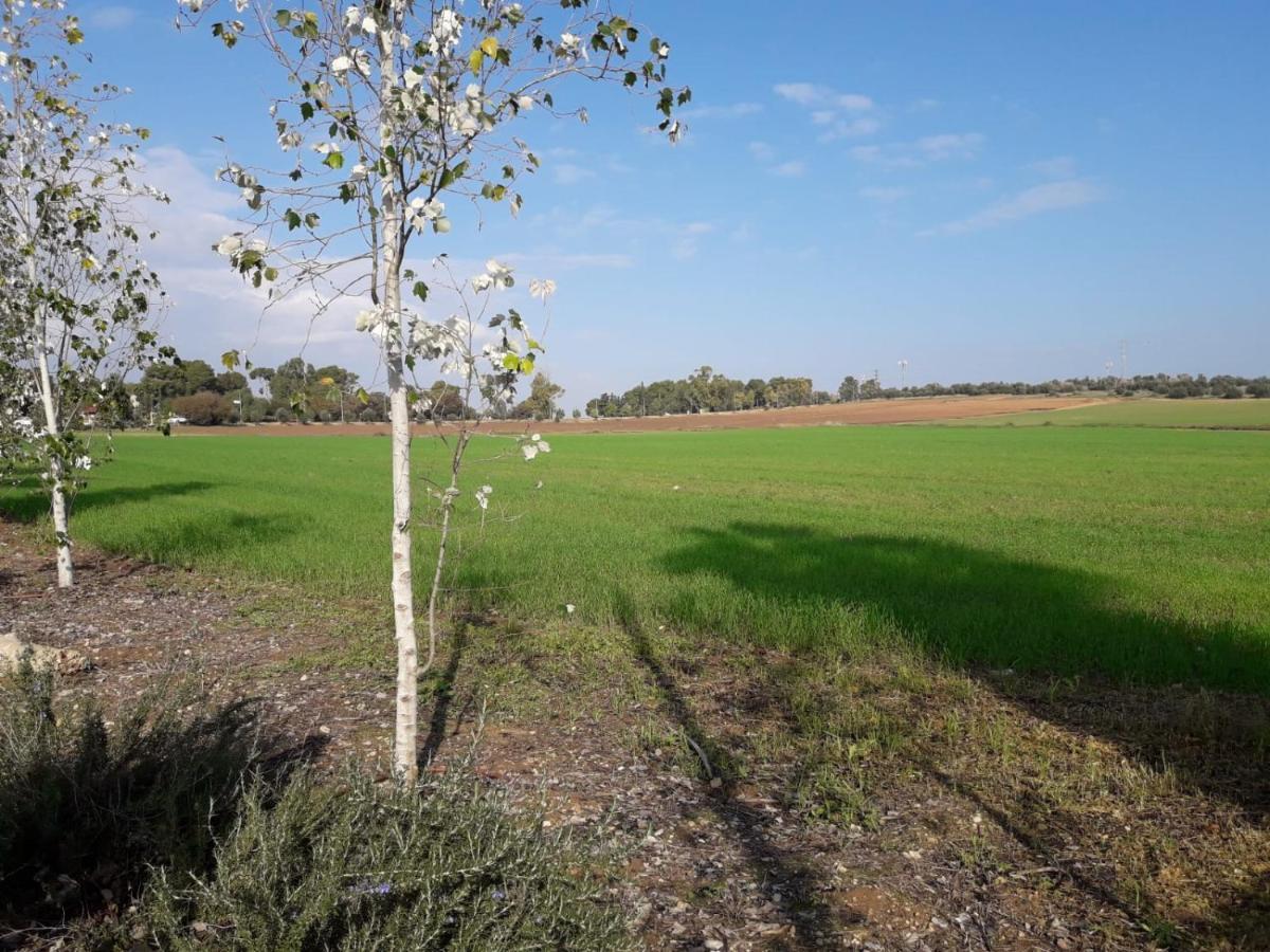 Kibbutz Hatzor A Room Close To Ashdod Hatzor Ashdod Dış mekan fotoğraf